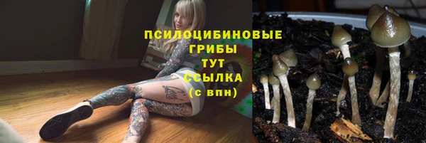гашик Одинцово