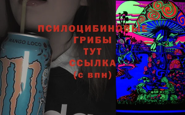 a pvp Гусиноозёрск