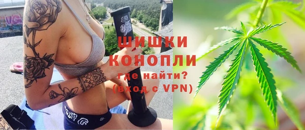 кристаллы Гусь-Хрустальный
