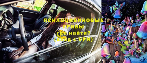 кристаллы Гусь-Хрустальный